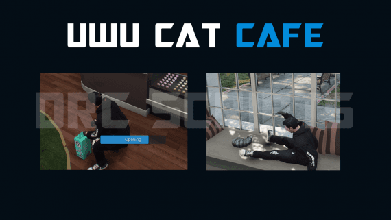 UWU Cat Cafe Job
